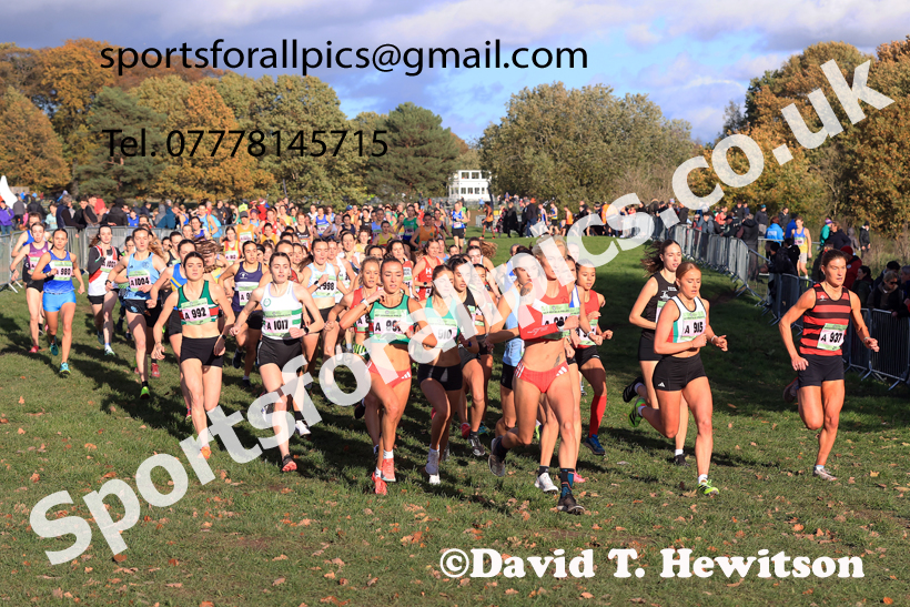 Senior Womens 2025 National Cross Country Relays, Berry Hill Park, Mansfield. Photo: David T. Hewitson/Sports for All Pics